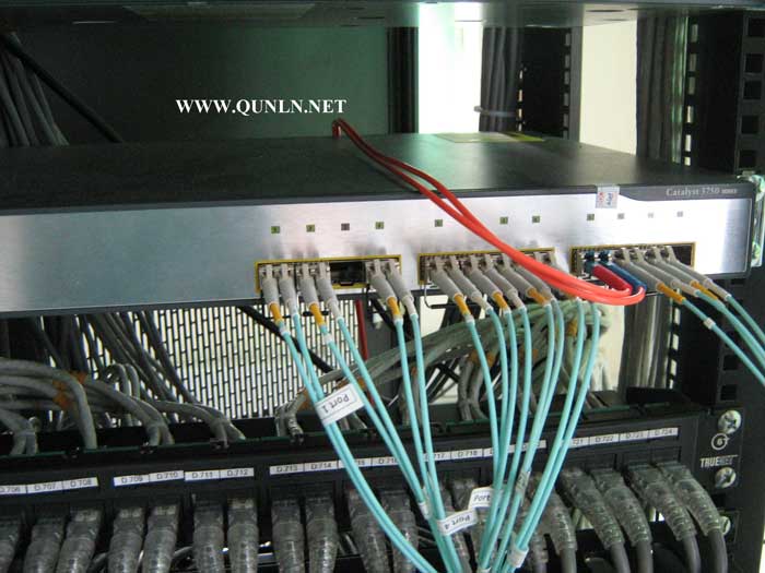 Switch%20Quang%20IIS-2.jpg